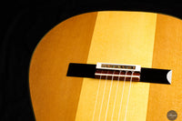 Jialan Chen - 2024 Coclea Thucea “Fibonacci” 64 cm
