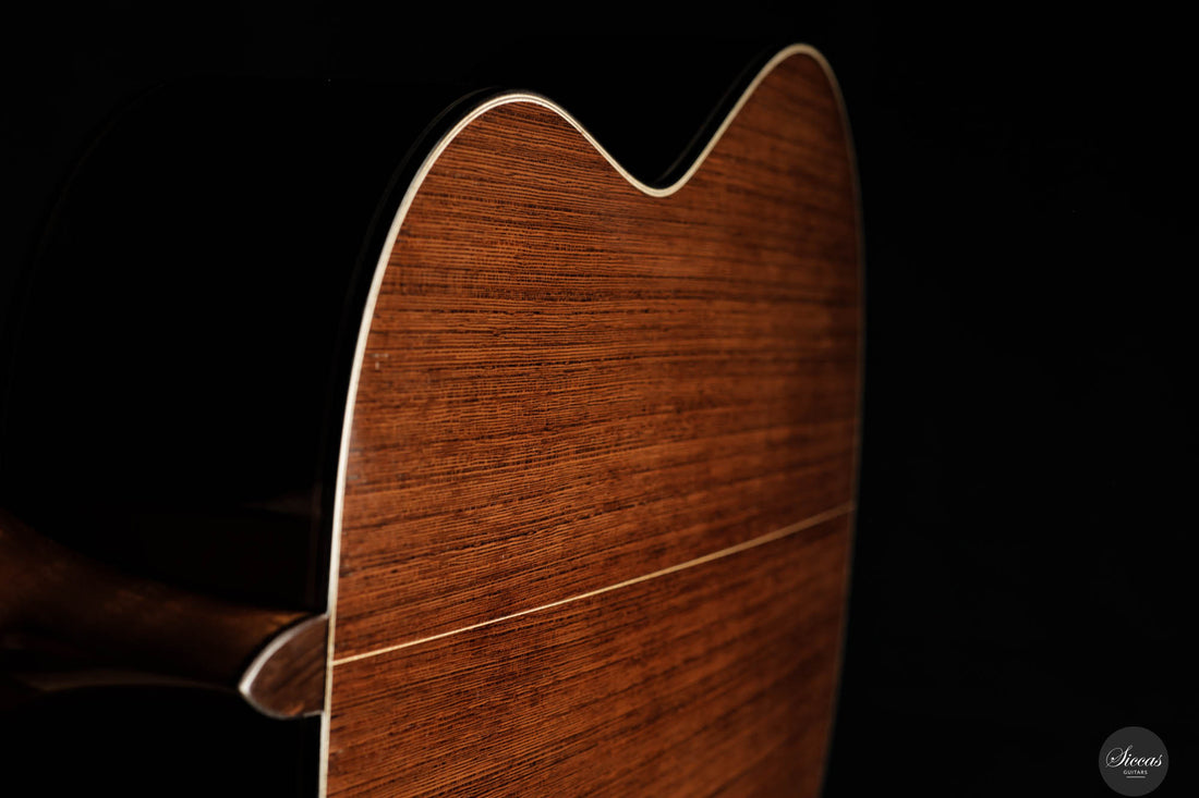 Jialan Chen - 2024 - Coclea Thucea “Fibonacci”