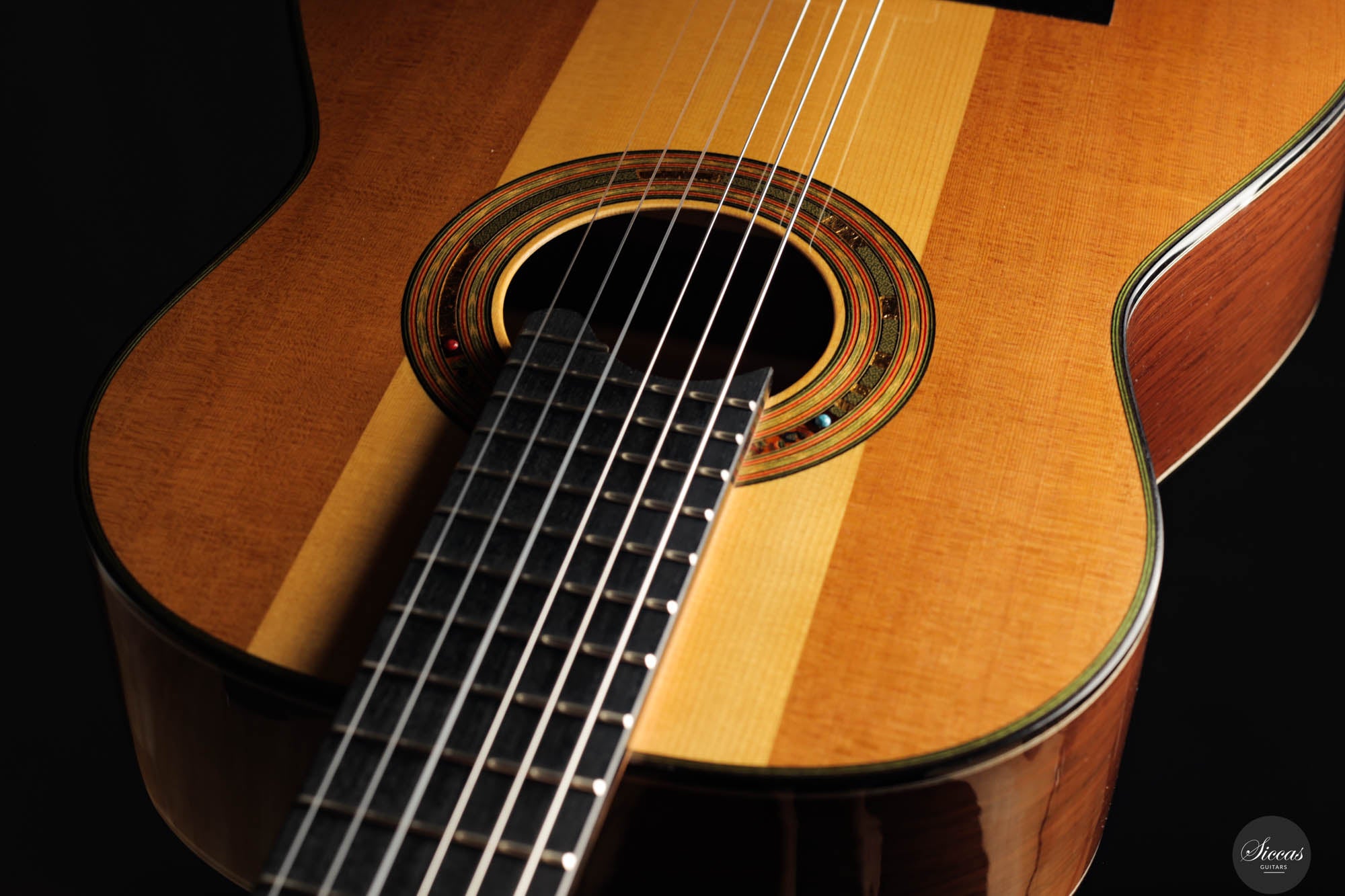 Jialan Chen - 2024 - Coclea Thucea “Fibonacci” – Siccas Guitars