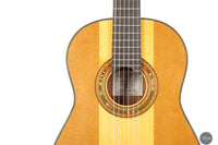 Jialan Chen - 2024 Coclea Thucea “Fibonacci” 64 cm