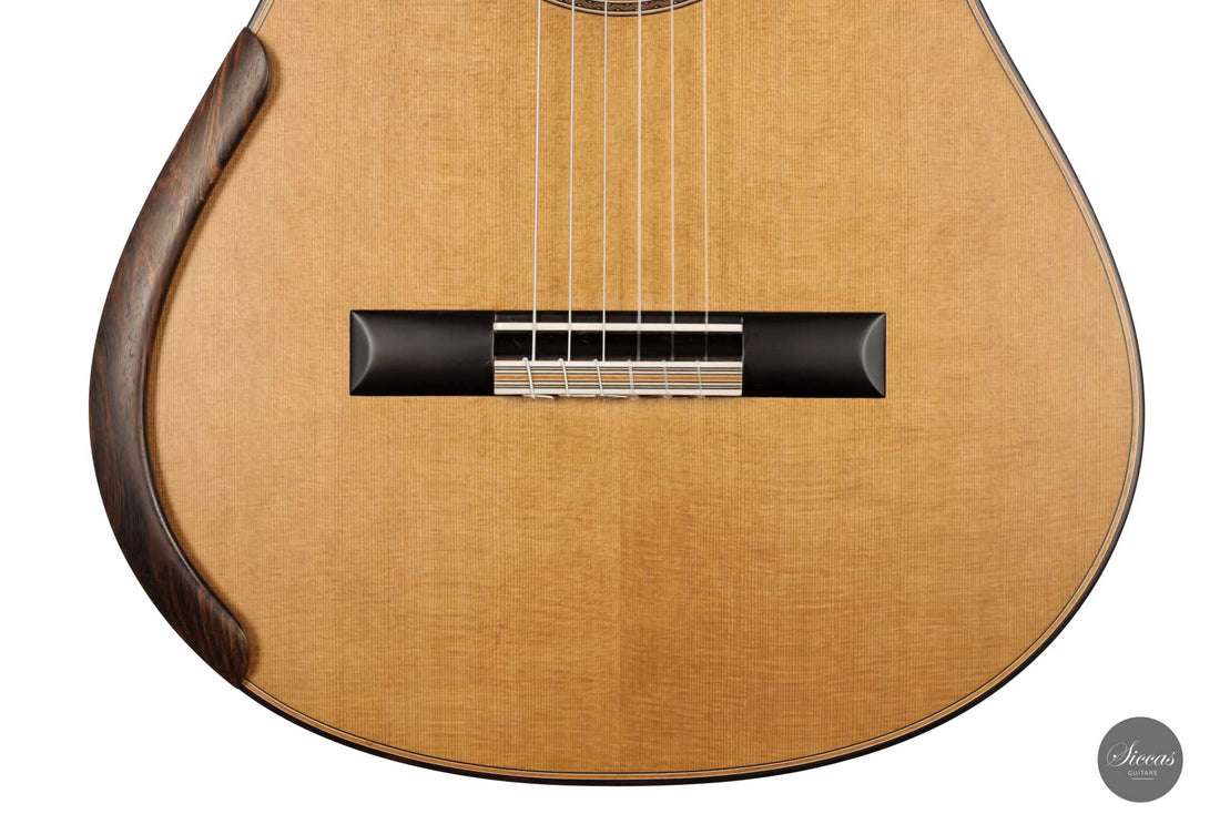 Jim Redgate - 2022 No. 505 „Ana Vidovic“