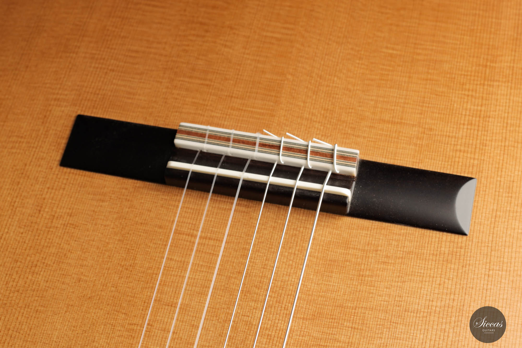 Jim Redgate - 2023 Ana Vidovic – Siccas Guitars