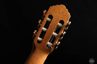John Ray - 2024 No. 283 64 cm