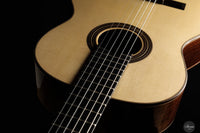 John Ray - 2024 No. 283 64 cm