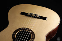 John Ray - 2024 No. 283 64 cm