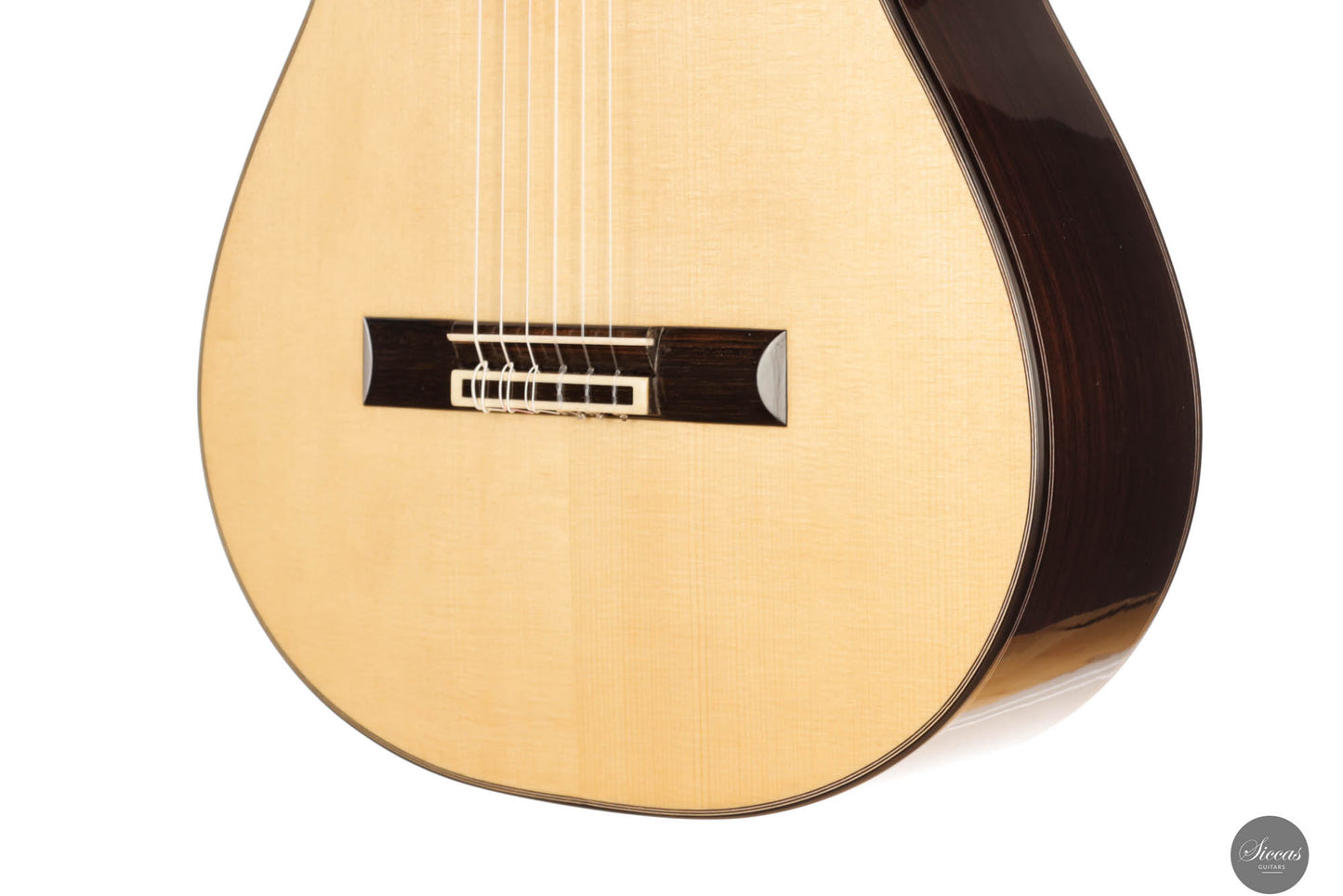 John Ray - 2024 No. 283 64 cm
