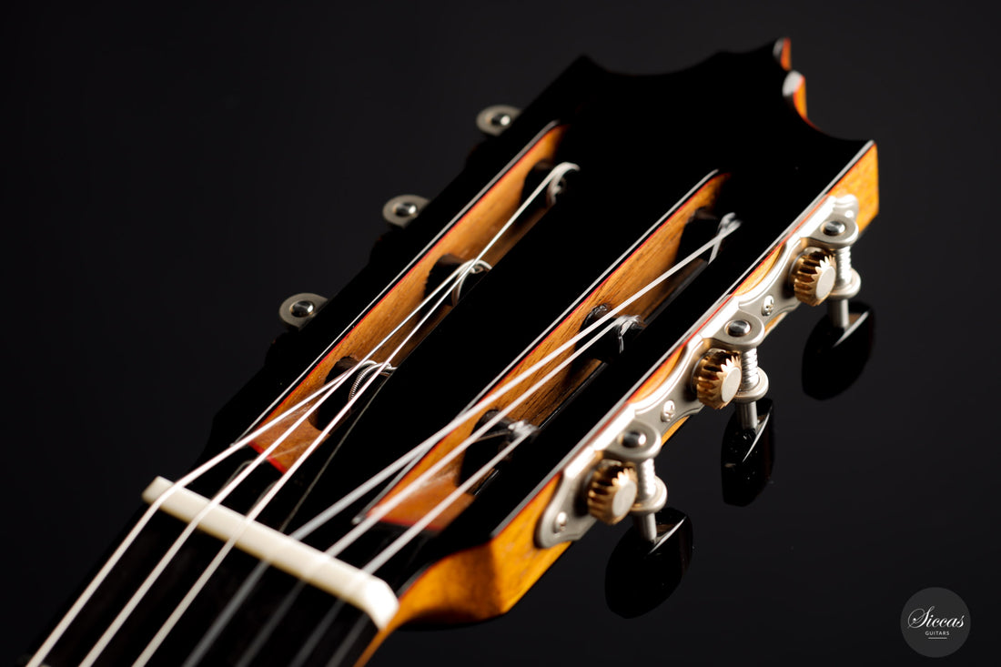 José Marques - 2021 Doubletop 64 cm