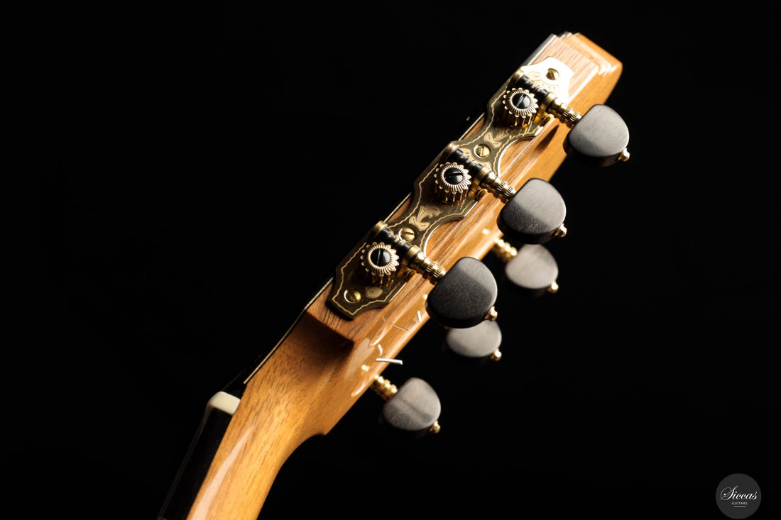José González López - 2025 Cedar - Madagascar rosew. No.317 64 cm