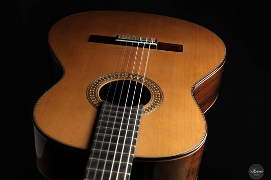 José González López - 2025 Cedar - Madagascar rosew. No.317 64 cm
