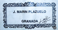 José Marin Plazuelo - 2021