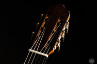 José Salinas - 2025 - Cedar/Madagascar