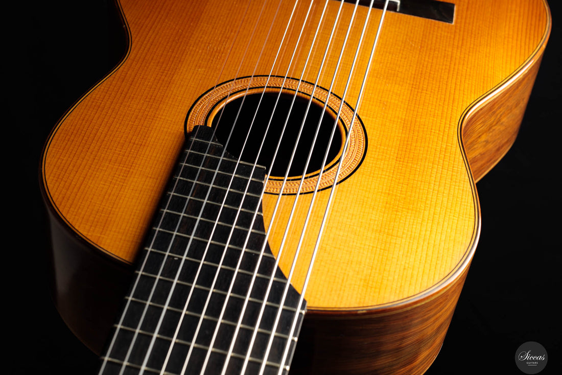 Kazuo Sato - 1976 Ten String