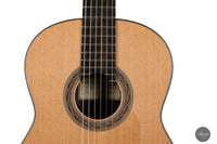Kim Lissarrague - 2022 No. 390 64 cm