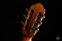 Kim Lissarrague - 2022 No. 390 64 cm
