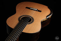 Kim Lissarrague - 2022 No. 390 64 cm