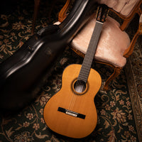 Siccas Luthiers - Legacy Doubletop Spruce