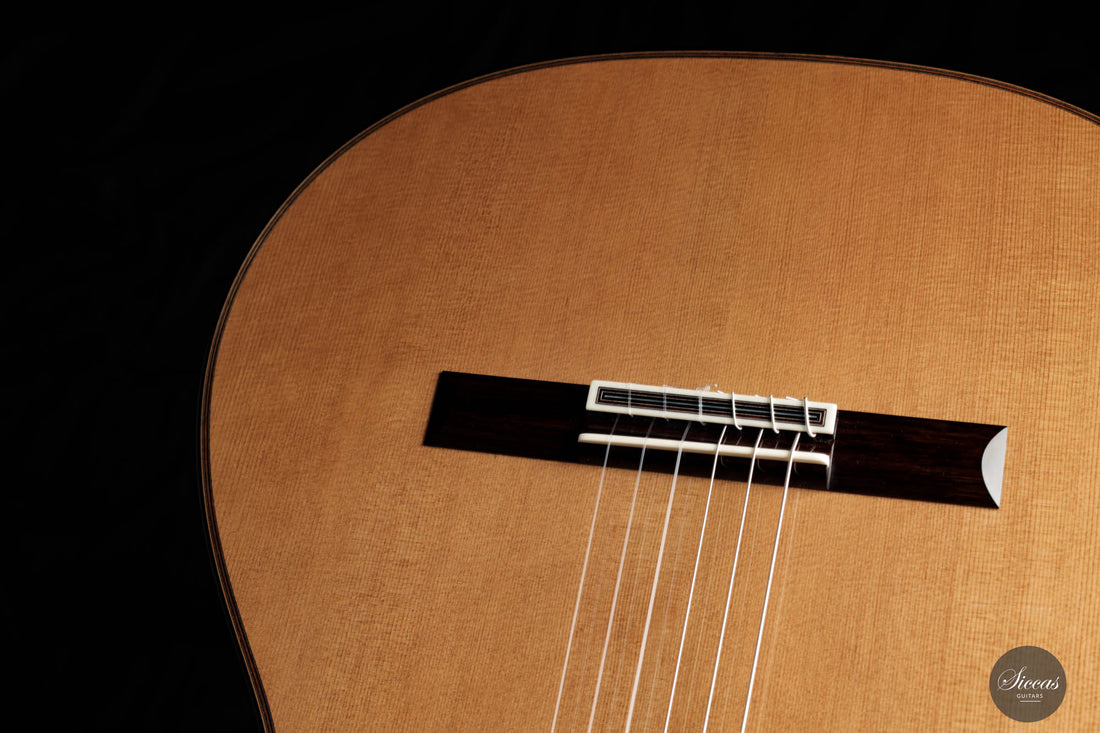 Lisa Weinzierl - 2023 No. 61