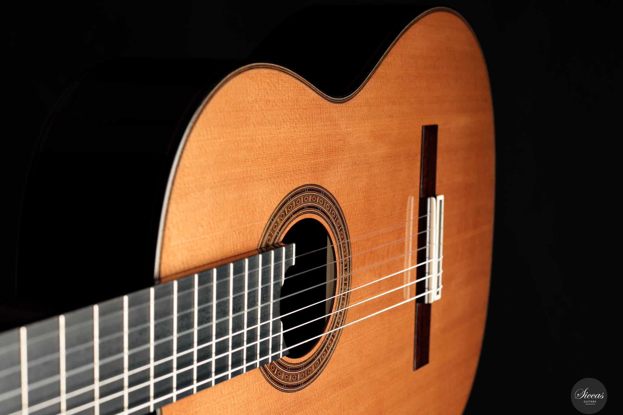 Lisa Weinzierl – Siccas Guitars