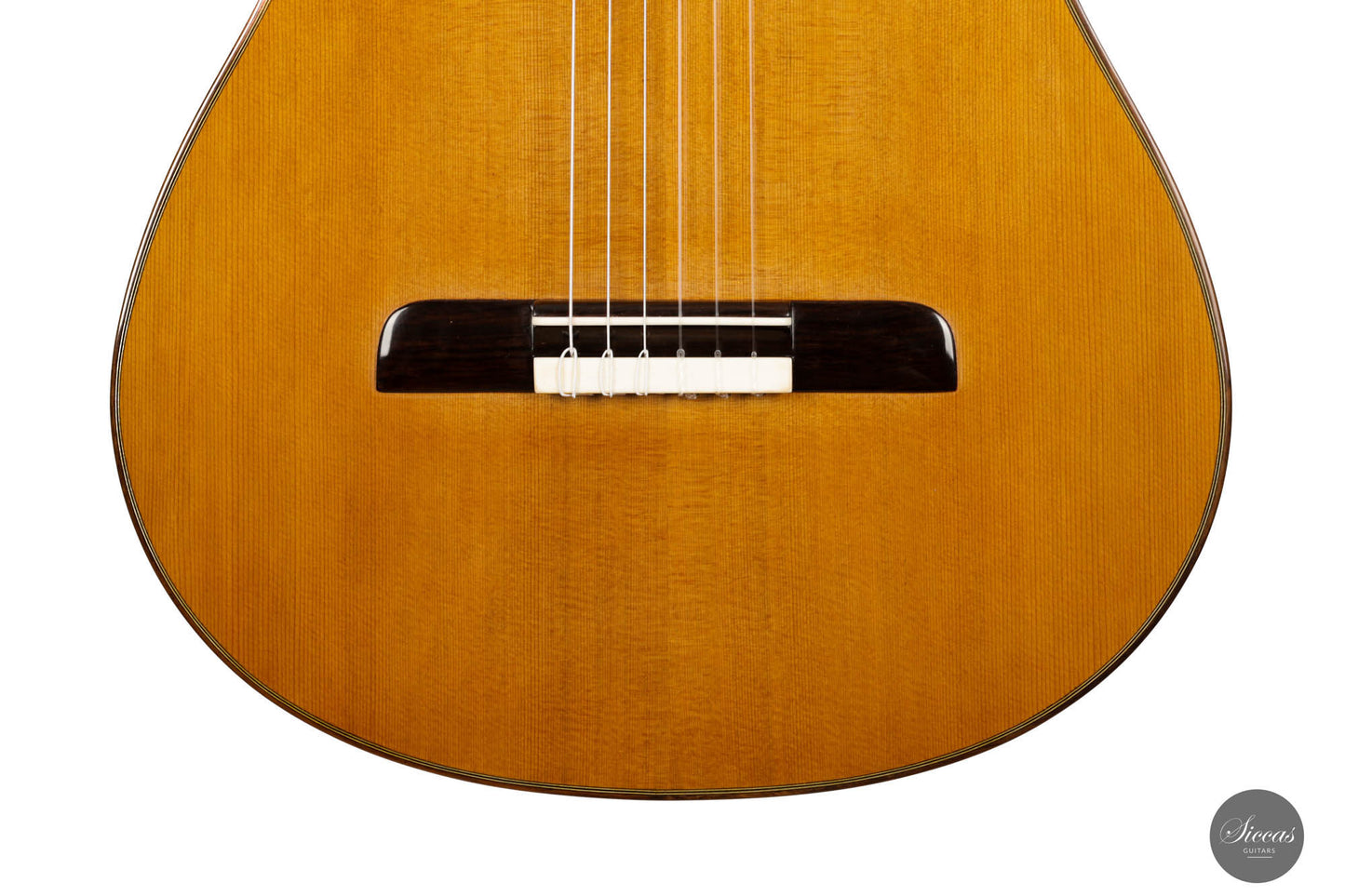 Lorenzo Frignani – 2022 Cedar No. 252