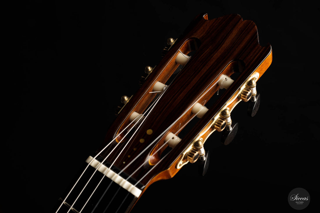 Lorenzo Frignani – 2022 Cedar No. 252