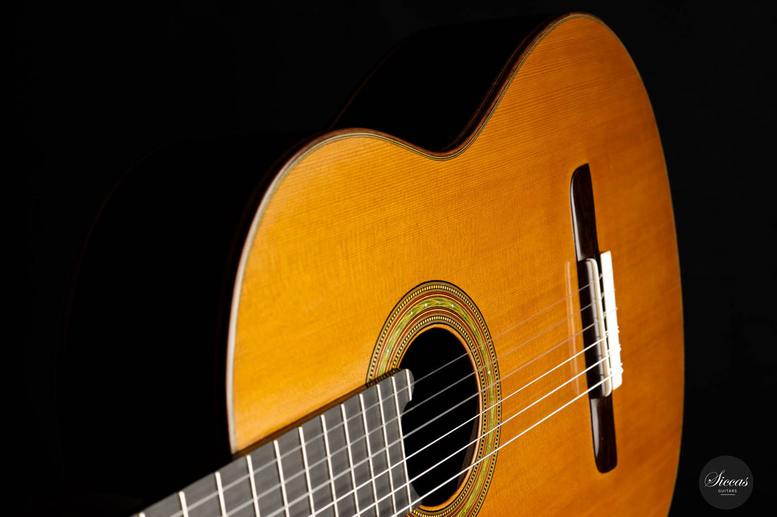Lorenzo Frignani – 2022 Cedar No. 252