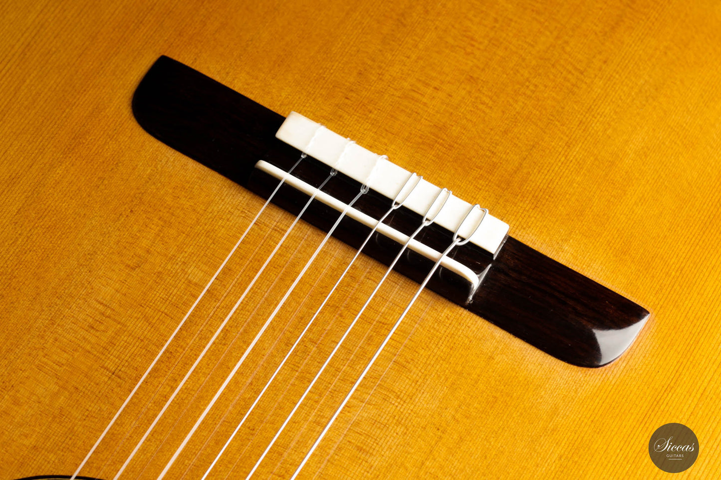 Lorenzo Frignani – 2022 Cedar No. 252