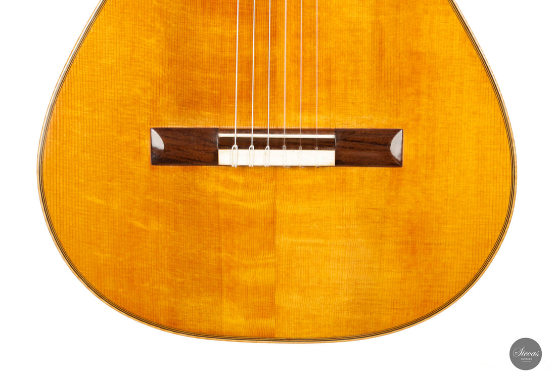 Lorenzo Frignani - 2022 Manuel Ramirez 1910 No. 249