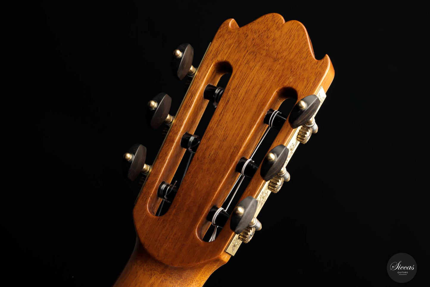 Lorenzo Frignani - 2022 No. 250
