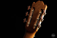 Lorenzo Frignani – 2023 Spruce No. 253