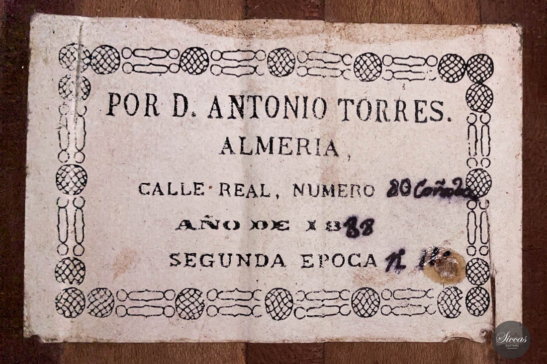 Lucio Antonio Carbone - 2023 Torres 1888