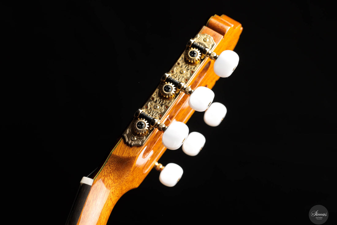 Manuel Adalid - 2024 - Esteve 11 Cedar