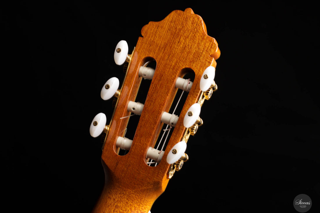 Manuel Adalid - 2024 - Esteve 11 Cedar
