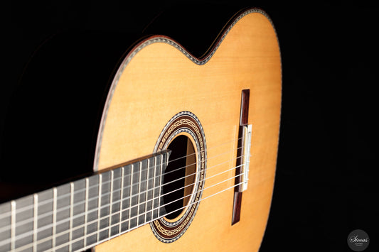 Manuel Adalid - "Tradicional CD" 2024 img-2