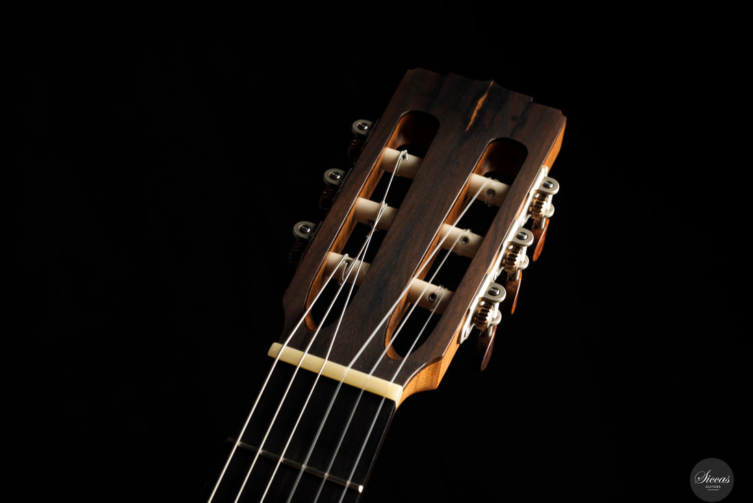 Marcos Domato Fernàndez - 2025 Concierto