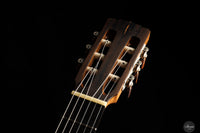 Marcos Domato Fernàndez - 2025 Concierto