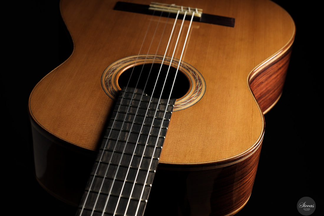 Marcos Domato Fernàndez - 2025 Concierto