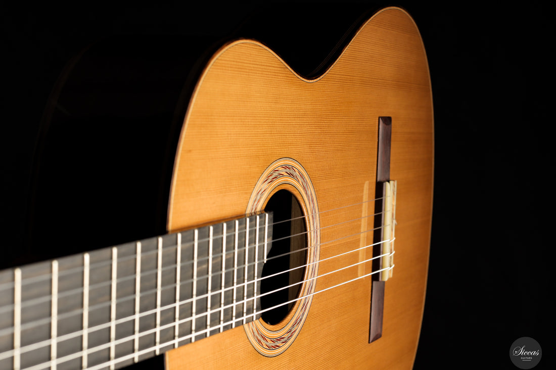 Marcos Domato Fernàndez - 2025 Concierto