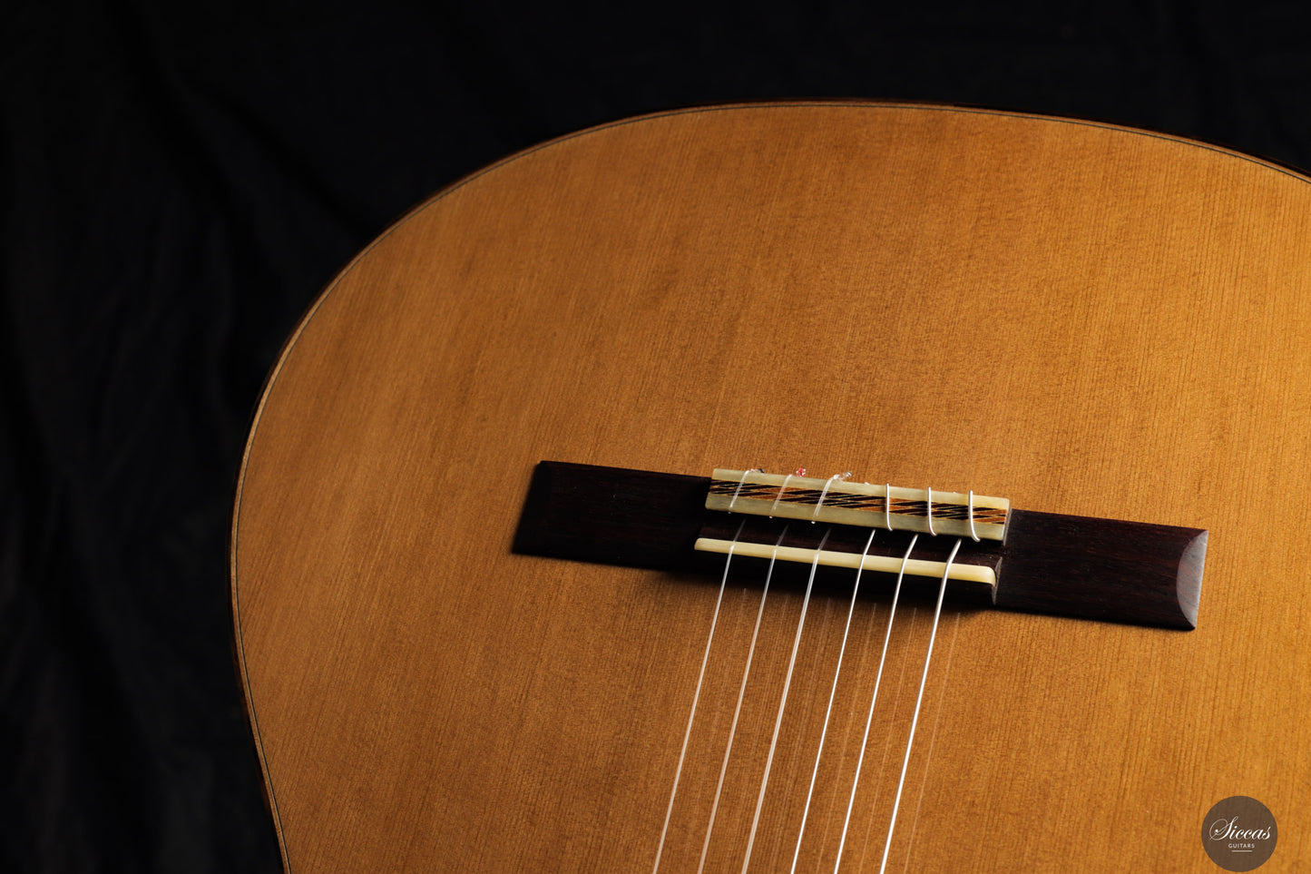 Marcos Domato Fernàndez - 2025 Concierto