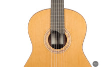 Marcos Domato Fernàndez - 2025 Concierto