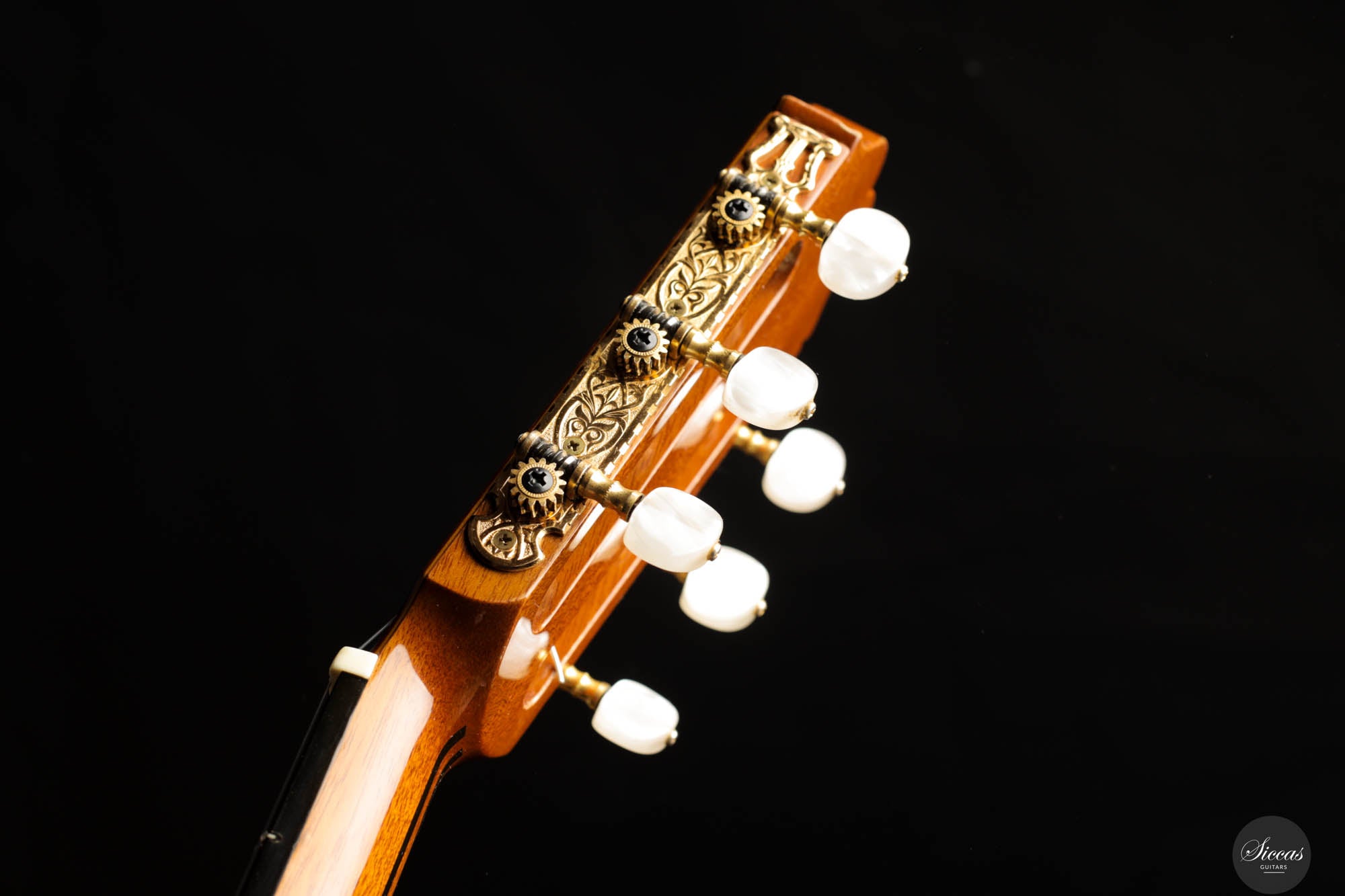 Masaki Sakurai – 1993 Concert-J Cedar/Madagascar – Siccas Guitars