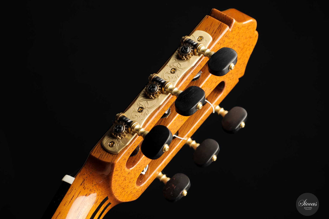 Masaki Sakurai - 2022 Concert R 64 cm