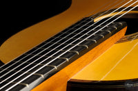 Masaki Sakurai - 2023 Maestro R.F. Spruce 64 cm