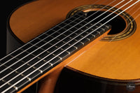 Masaki Sakurai - 2023 Maestro R.F. Cedar 63 cm