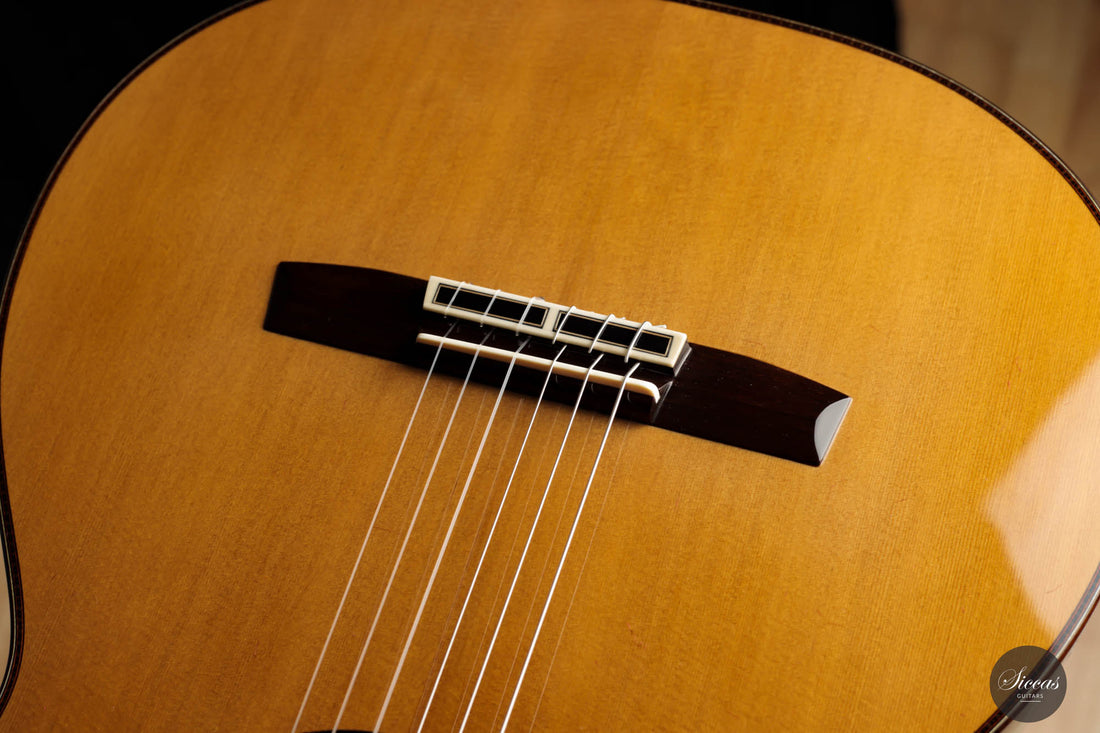 Masaki Sakurai - 2023 Maestro R.F. Cedar 63 cm