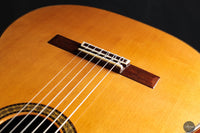 Masaki Sakurai - 2025 Concert J Cedar 64 cm