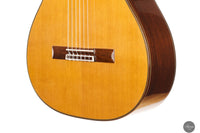Masaki Sakurai - 2025 Concert J Cedar 64 cm