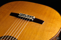 Masaki Sakurai - 2025 Maestro-RF Cedar