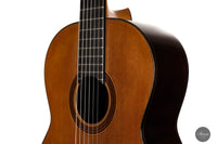 Matthias Dammann - 1992 Cedar Solidtop No. 52 64,5 cm