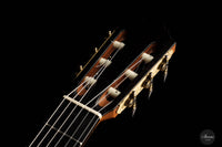 Matthias Dammann - 1992 Cedar Solidtop No. 52 64,5 cm