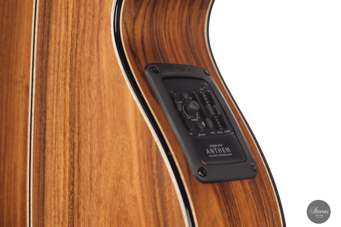 Max Cuker - 2021 Birute